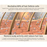 africa hair loss treatment of traction alopecia super fast hair growth shampoo 17