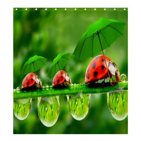 Shower0072 Bath Shower Curtain Lady Bug With Umbrella At Green Grass Cute Nature Fresh Animal Design.jpg