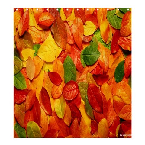 Shower0073 Bath Shower Curtain Leaf Beautiful Nature Abstract Flowers Animation Fantasy.jpg