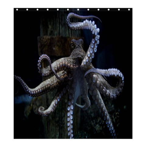 Shower0289 Bath Shower Curtain Octopus Rambo Nature Animal In The Pacific And Indian Oceans Fantasy.jpg