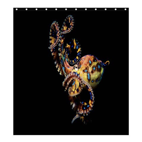 Shower0290 Bath Shower Curtain Octopus The Blue Ringed Nature Animal In The Pacific Indian Oceans.jpg