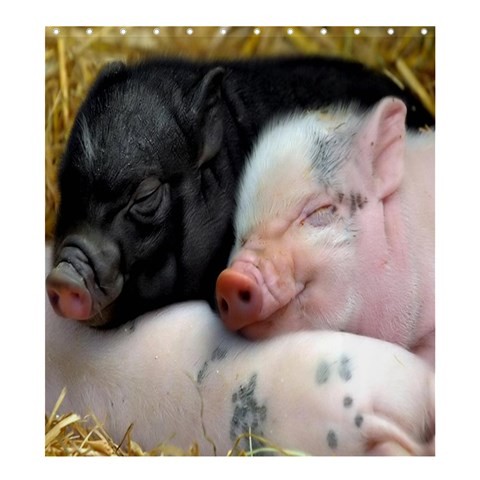 Shower0303 Bath Shower Curtain Pig Baby Pigs Cute Funny Animal Nature Design Animation Video Game.jpg