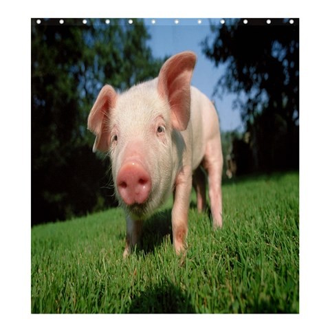 Shower0304 Bath Shower Curtain Pig Cute Funny Animal Pig In Grass Nature Editions For Video Game.jpg