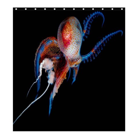 Shower0288 Bath Shower Curtain Octopus Nature Animal In The Pacific And Indian Oceans For Game Anime.jpg