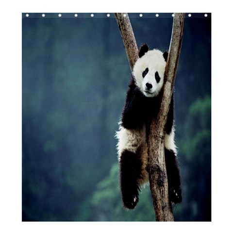Shower0094 Bath Shower Curtain Panda Animal Bamboo Jungle In Blue Sky Nature Design Anime Fantasy.jpg