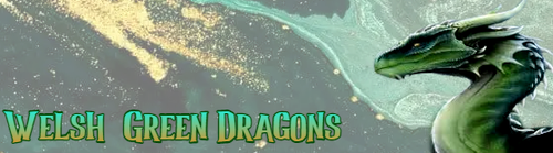 Welsh Green Dragon Banner.png