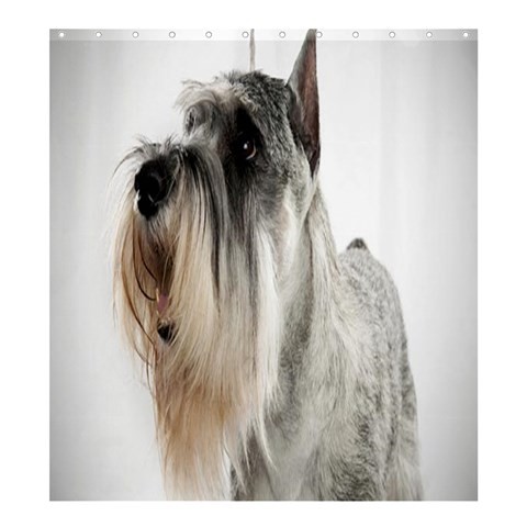Shower0342 Bath Shower Curtain Schnauzer Dog Nature Animal Cute White Design Fantasy For Video Game.jpg