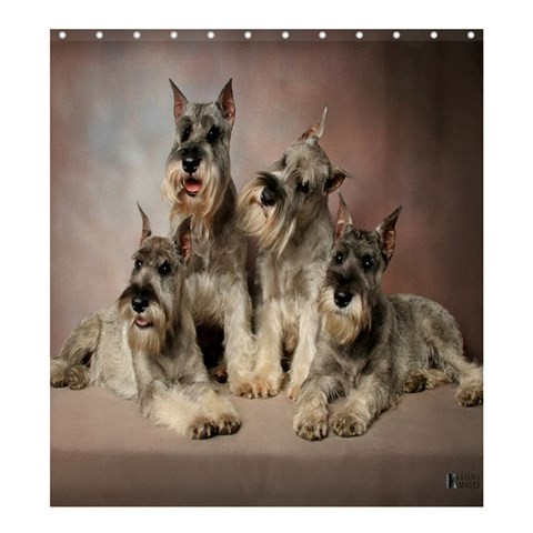 Shower0343 Bath Shower Curtain Schnauzer Dog Nature Animal Family Design Fantasy For Video Game.jpg