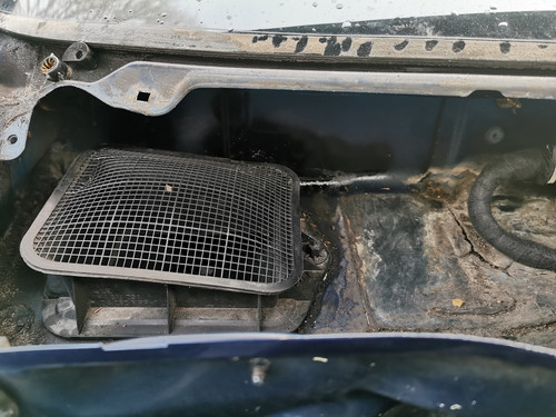 IMG 20220112 102401.jpg