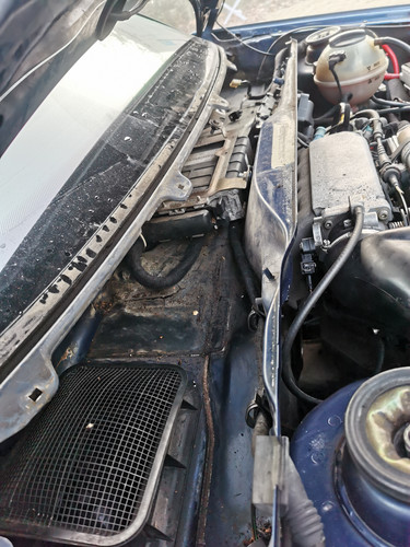 IMG 20220112 101408.jpg