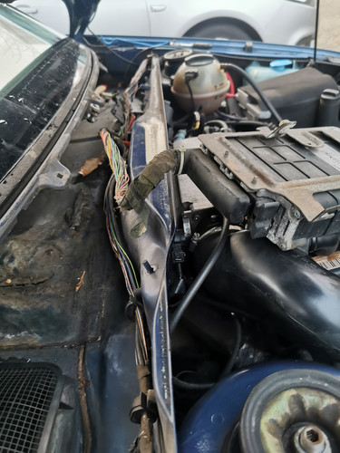 IMG 20220112 093130.jpg