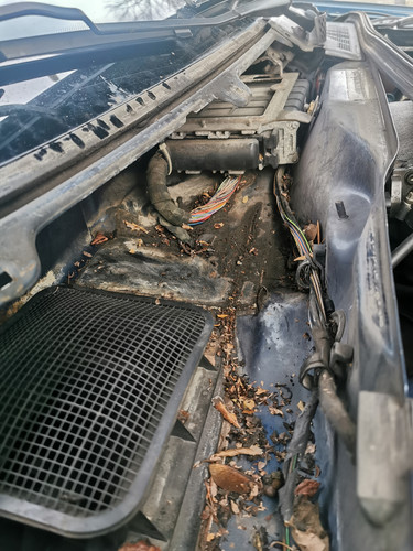 IMG 20220110 104646.jpg