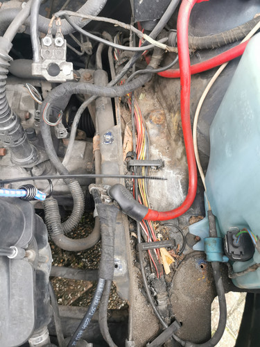 IMG 20220102 110322.jpg