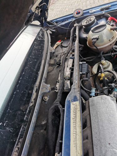 IMG 20220112 095649.jpg