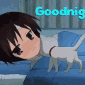animu anime