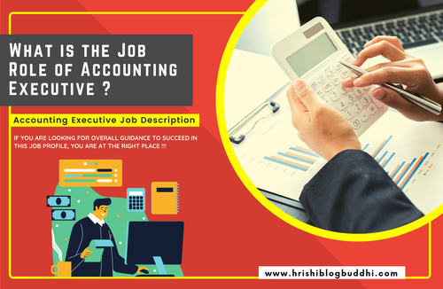 What is the Job Role of Accounting Executive? Accounting Executive Job Description.png