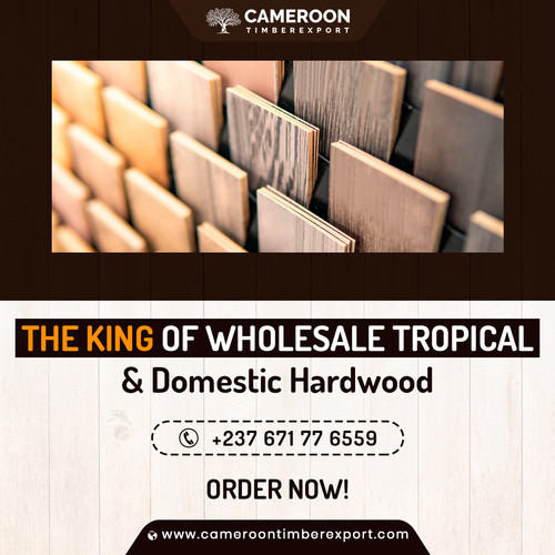 133 Wholesale Tropical.jpg