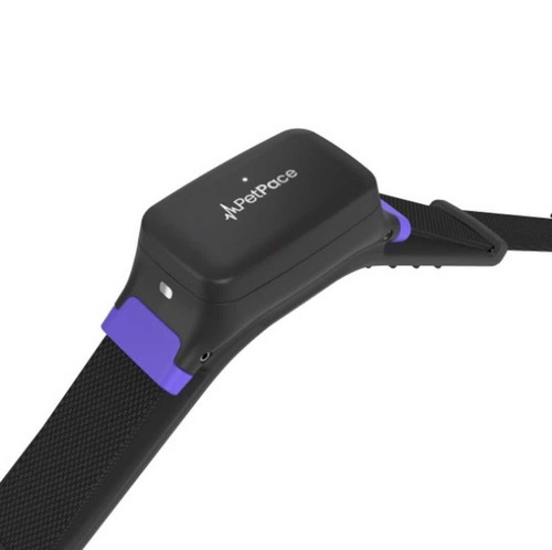 541a8dadf0c47b8af9832d182bf9dd52