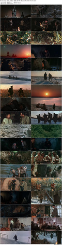 Dersu.Uzala.1975.BluRay.1080p.DTS HD.MA5.1.x265.10bit BeiTai preview.jpg