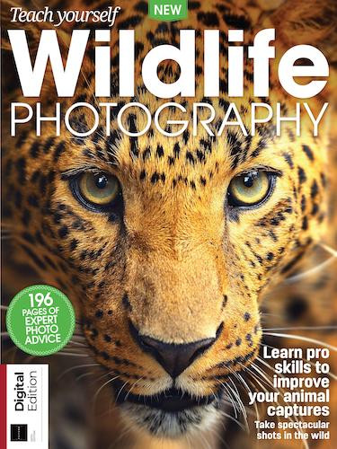 Teach Yourself Wildlife Photography - 6th Edition, 2022