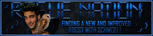 Schmoe Banner.jpg