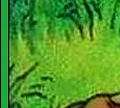 RUPERT33 3.png