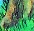 RUPERT33 17.png