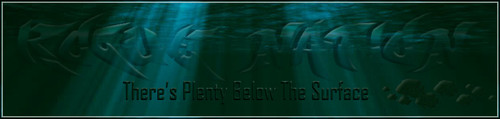Below Banner.jpg