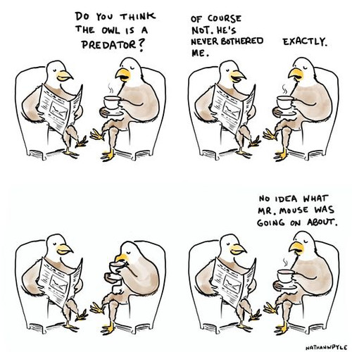 Eagle.jpg