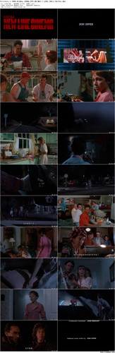 Critters.1.1986.BluRay.1080p.DTS HD.MA5.1.x265.10bit BeiTai preview.jpg