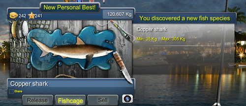 coppersharkmax.png