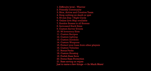 Server info.png