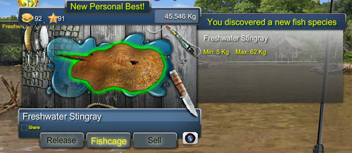 freshwaterstingraymax.png
