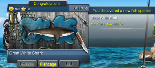 greatwhitesharkmax