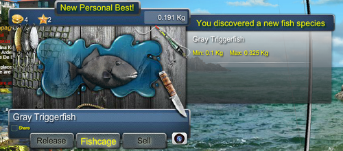 graytriggerfishmax.png