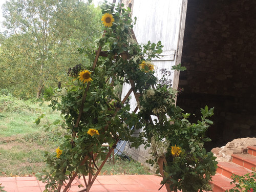 F2F6F86B 8954 4496 A4A8 E0D105A3964E.jpg