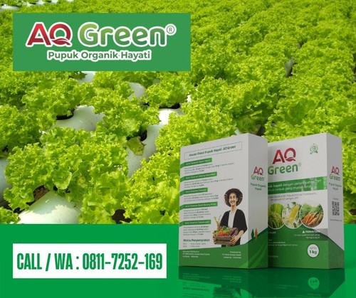 PUPUK TERBAIK, Call WA 0811 7252 169 Supplier pupuk organik cair terbaik untuk cabe di Lampung Timur.jpg