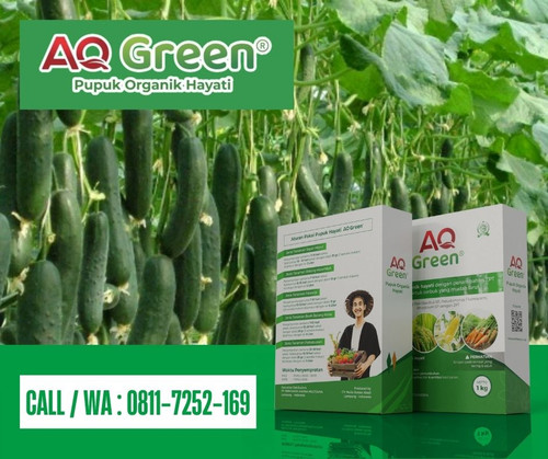 PANEN BAGUS, Call WA 0811 7252 169 Jual pupuk organik cair digunakan untuk tanaman saja di Lampung T.jpg