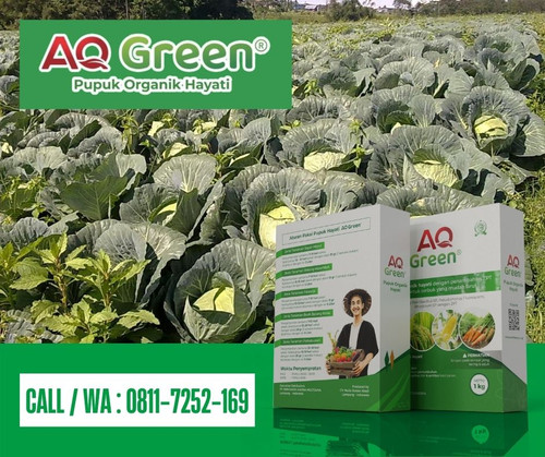 TERMURAH, Call WA 0811 7252 169 Supplier pupuk organik nasi basi di Lampung Timur.jpg