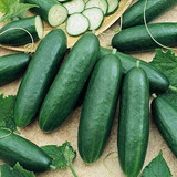 cucumber diva