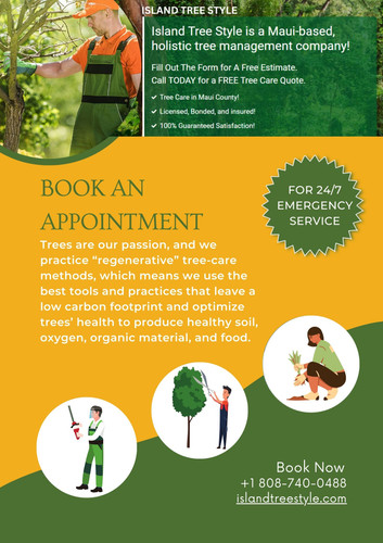 Top Rated Tree Removal Services in Maui.jpg