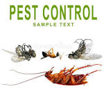 Flatline Pest Control - Pest Control Central Coast.jpg