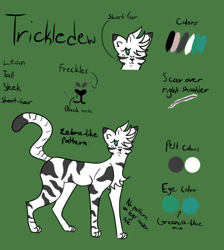 Untitled131 20220116023721