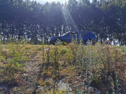 IMG 20200809 112748.jpg