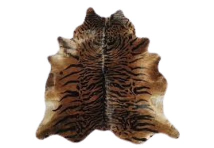 image 2024 08 11 014816988.png