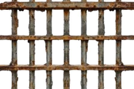 image 2024 08 11 020037213.png