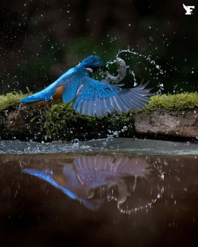 454788017 933048252195648 7006050051320624752 n.jpg?stp=dst jpg s640x640& nc cat=109&ccb=1 7& nc sid.jpg