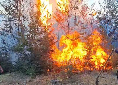 454754321 537369368816680 2561078684152175523 n.jpg? nc cat=105&ccb=1 7& nc sid=833d8c& nc ohc=kqYZZ.jpg