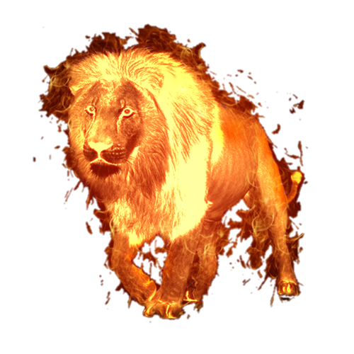 C1B7ABA7 D609 4370 88EF 8F14173B3C83.png