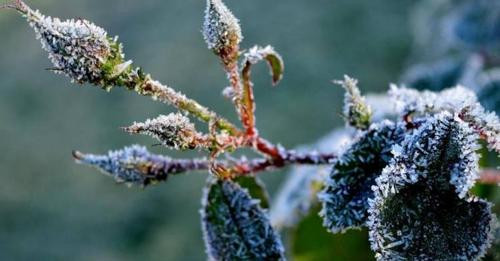 14409733673813027566?url=https%3A%2F%2Fazat.news%2Fwp content%2Fuploads%2F2024%2F08%2Fimage 750x 66b.jpg